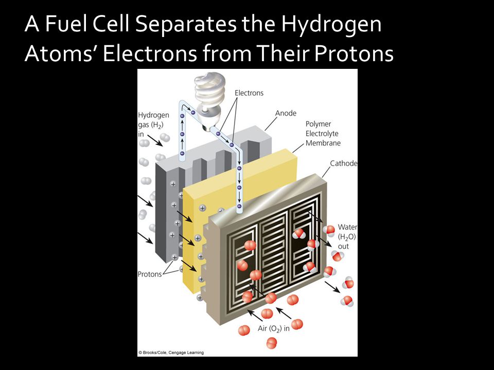 A Fuel Cell Separates the Hydrogen Atoms’ Electrons from Their Protons