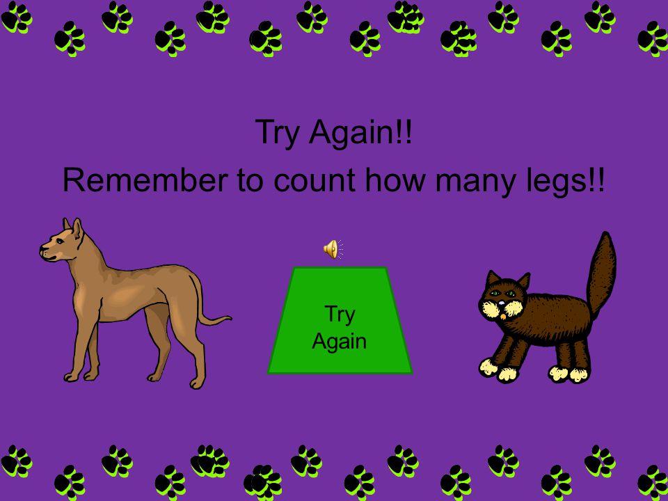 Question 1 Look at the 2 pictures below. Do cats and dogs have 4 legs, 2 ears, 2 eyes, and a tail.