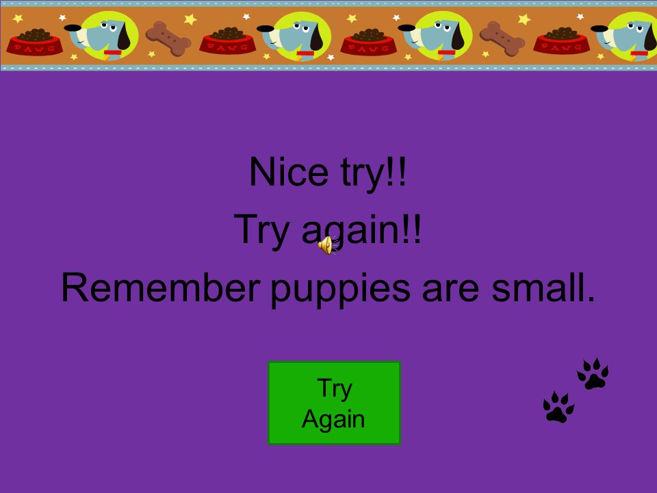 Nice try!! Try again!! Remember puppies are small. Try Again