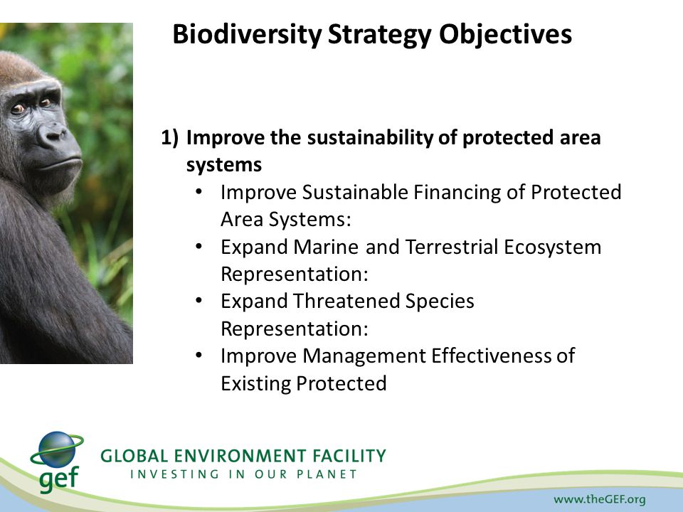 Biodiversity Strategy Objectives 1)Improve the sustainability of protected area systems Improve Sustainable Financing of Protected Area Systems: Expand Marine and Terrestrial Ecosystem Representation: Expand Threatened Species Representation: Improve Management Effectiveness of Existing Protected