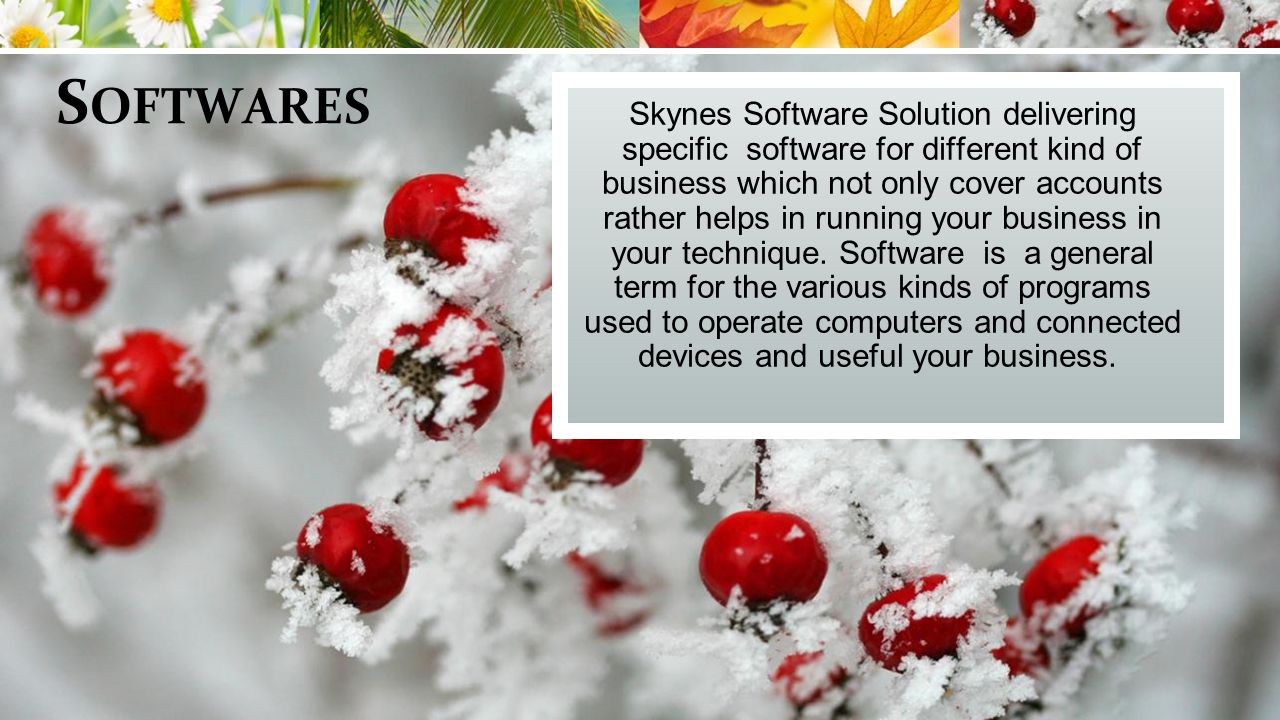 S OFTWARES Skynes Software Solution delivering specific software for different kind of business which not only cover accounts rather helps in running your business in your technique.
