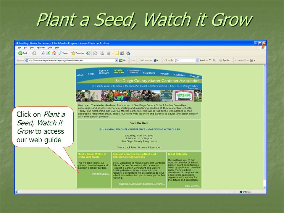 Plant a Seed, Watch it Grow Click on Plant a Seed, Watch it Grow to access our web guide
