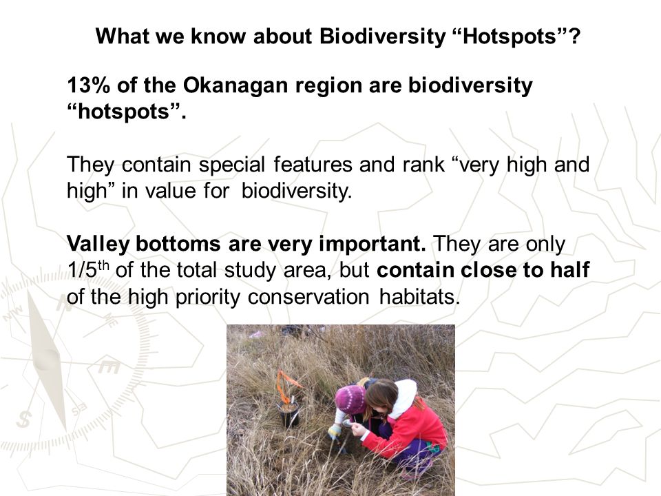 What we know about Biodiversity Hotspots . 13% of the Okanagan region are biodiversity hotspots .