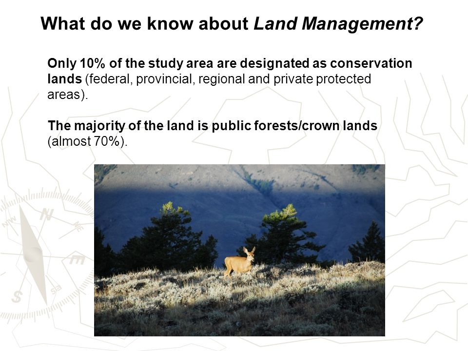 What do we know about Land Management.