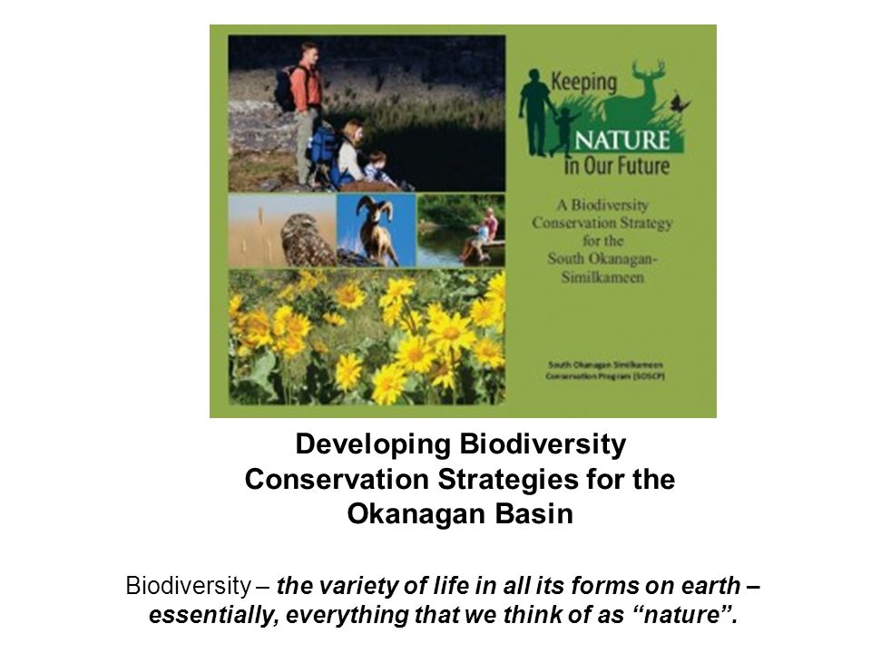 Developing Biodiversity Conservation Strategies for the Okanagan Basin Biodiversity – the variety of life in all its forms on earth – essentially, everything that we think of as nature .
