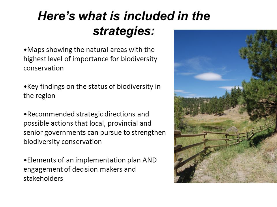 Here’s what is included in the strategies: Maps showing the natural areas with the highest level of importance for biodiversity conservation Key findings on the status of biodiversity in the region Recommended strategic directions and possible actions that local, provincial and senior governments can pursue to strengthen biodiversity conservation Elements of an implementation plan AND engagement of decision makers and stakeholders
