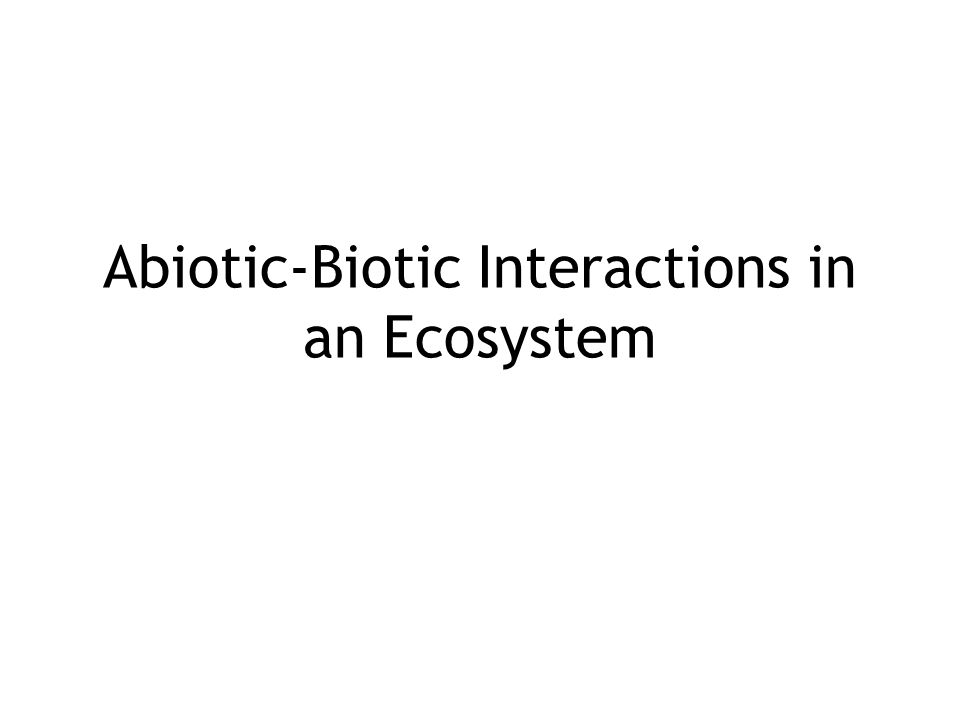 biotic interactions