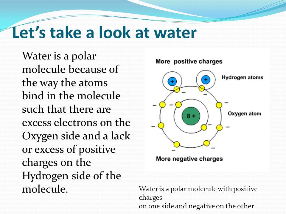 Let’s take a look at water Water is a polar molecule because of the way the atoms bind in the molecule such that there are excess electrons on the Oxygen side and a lack or excess of positive charges on the Hydrogen side of the molecule.