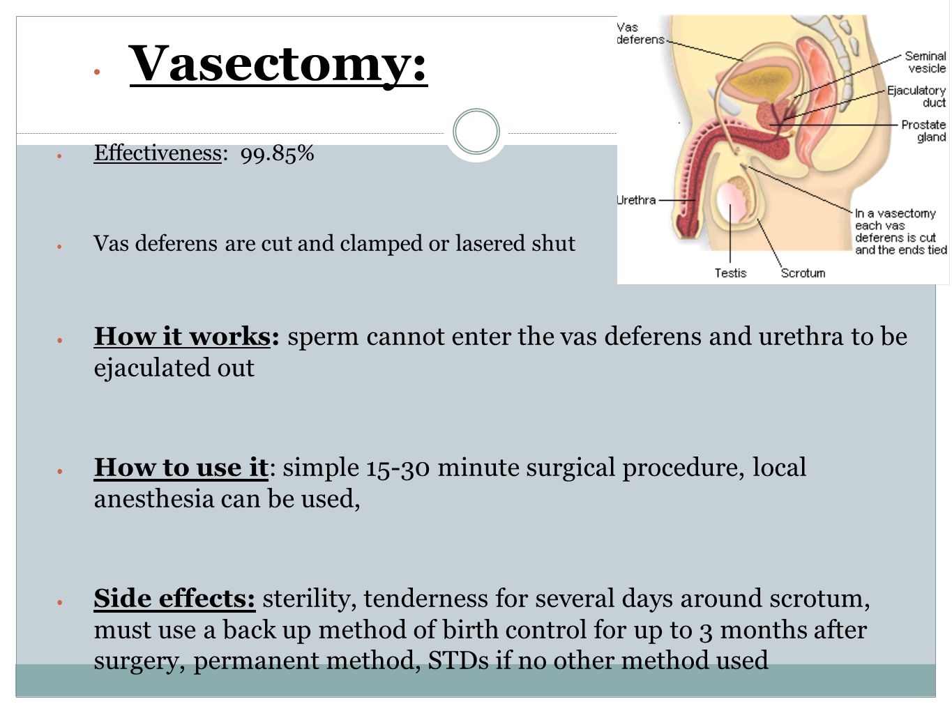 After vasectomy sperm retrieval