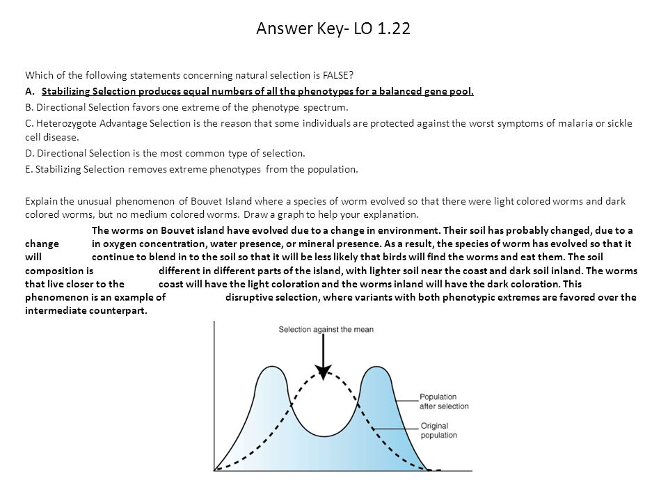 Evolution By Natural Selection Worksheet Evolution By Natural Selection Worksheet Answers University Of