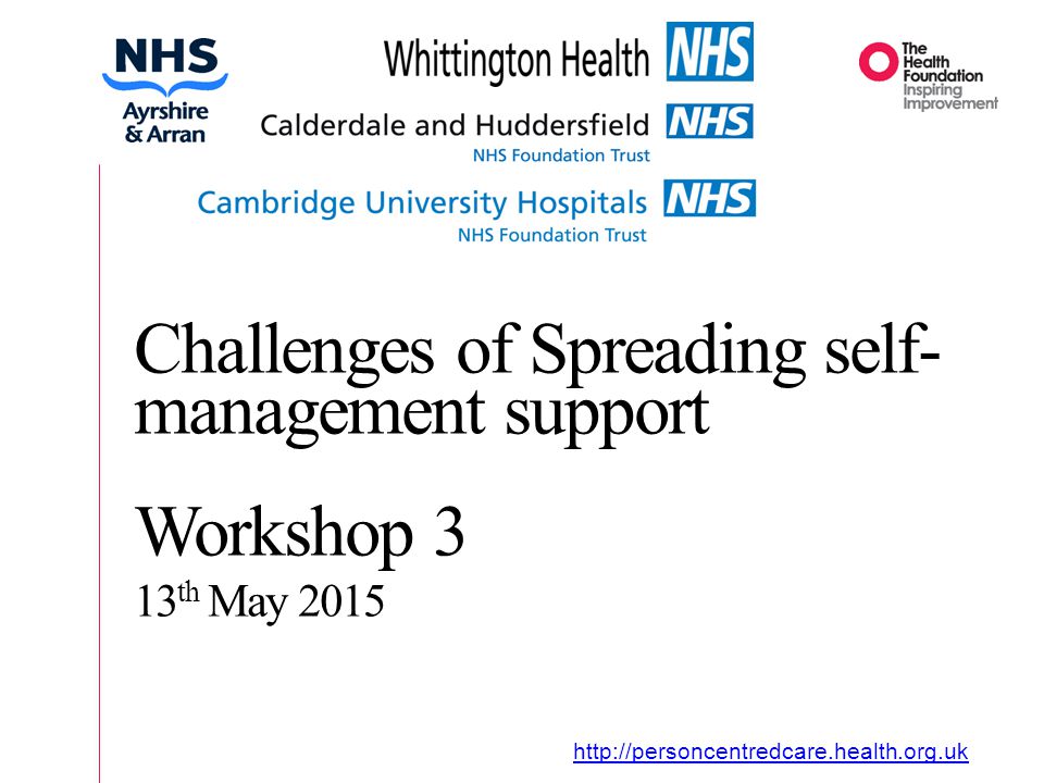 Organisational Journey   Challenges of Spreading self- management support Workshop 3 13 th May 2015