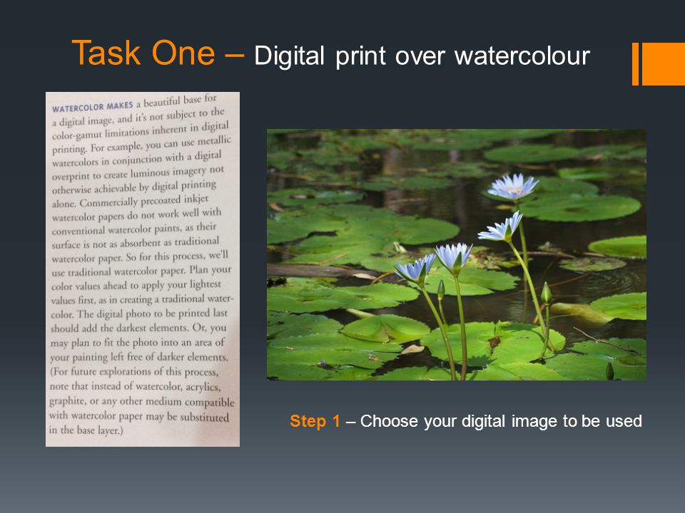 Task One – Digital print over watercolour Step 1 – Choose your digital image to be used