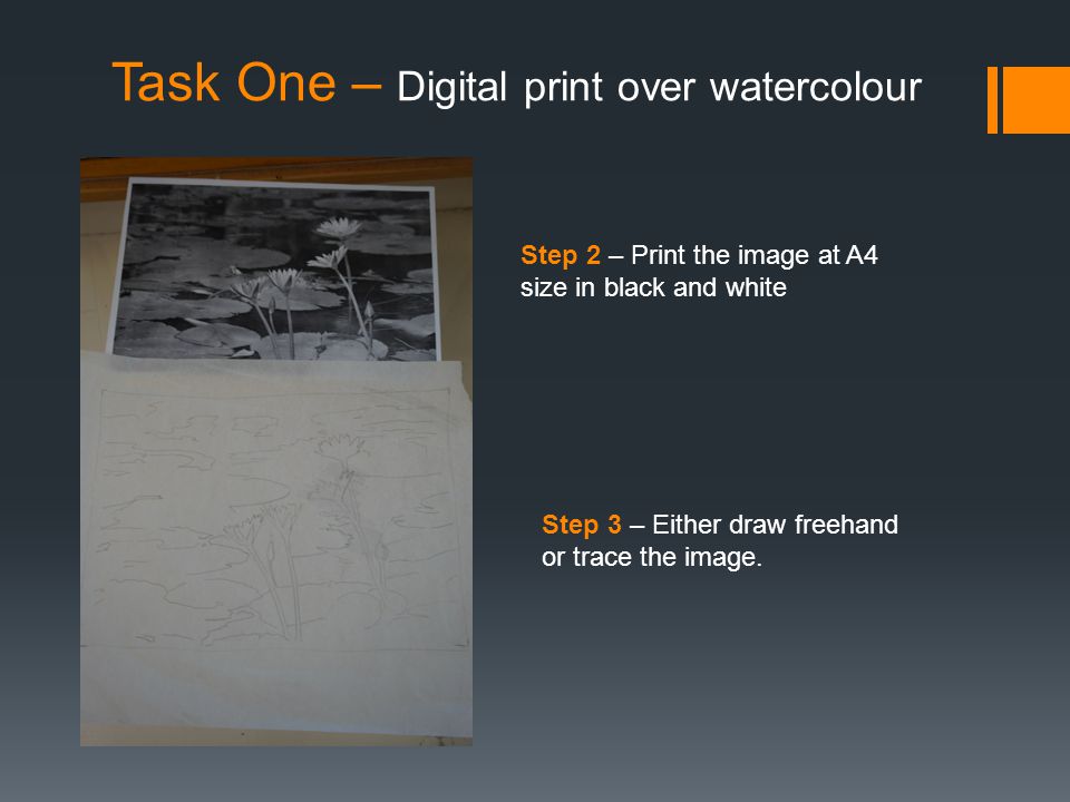 Task One – Digital print over watercolour Step 2 – Print the image at A4 size in black and white Step 3 – Either draw freehand or trace the image.