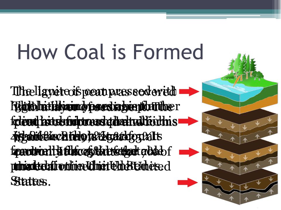 How Coal is Formed 300 million years ago plants died and formed peat which is an accumulation of partially decayed vegetable matter.