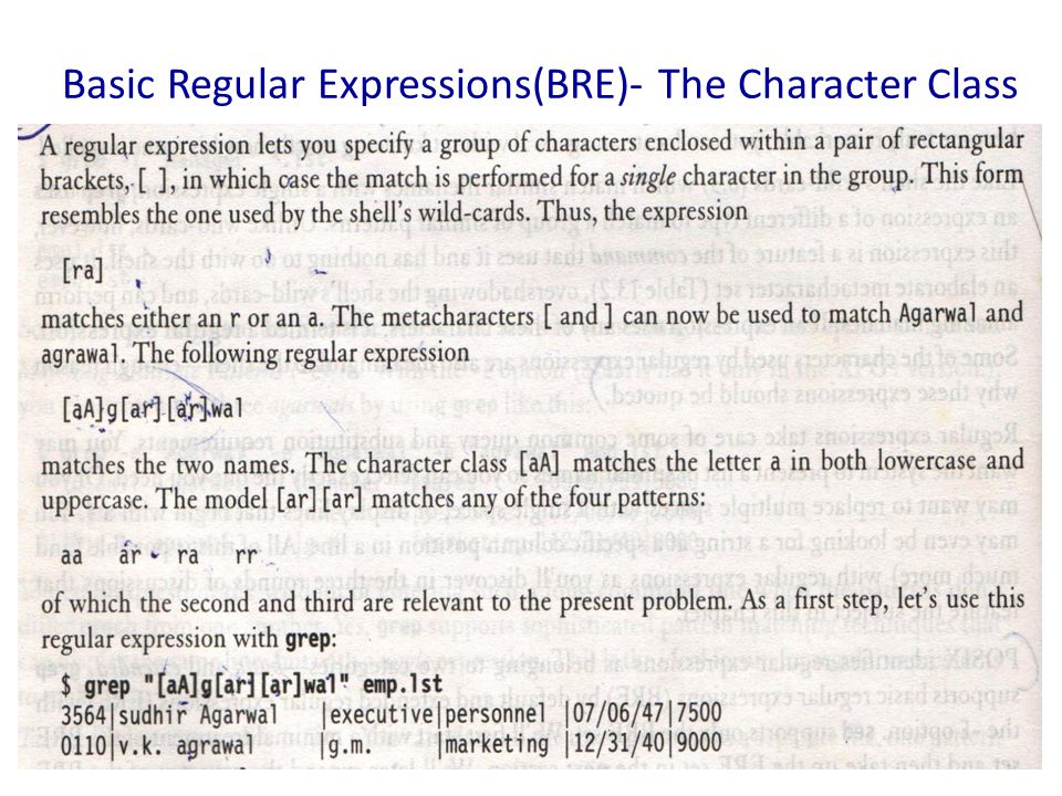 Basic Regular Expressions(BRE)- The Character Class