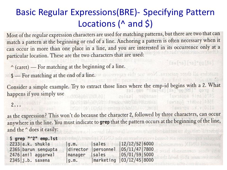 Basic Regular Expressions(BRE)- Specifying Pattern Locations (^ and $)