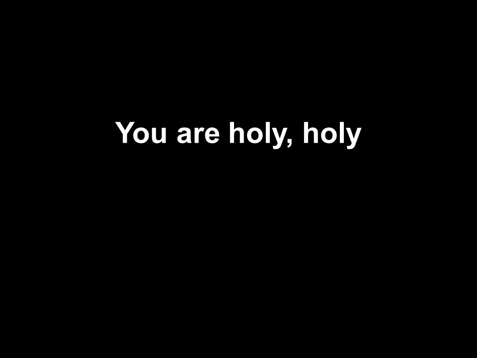 You are holy, holy