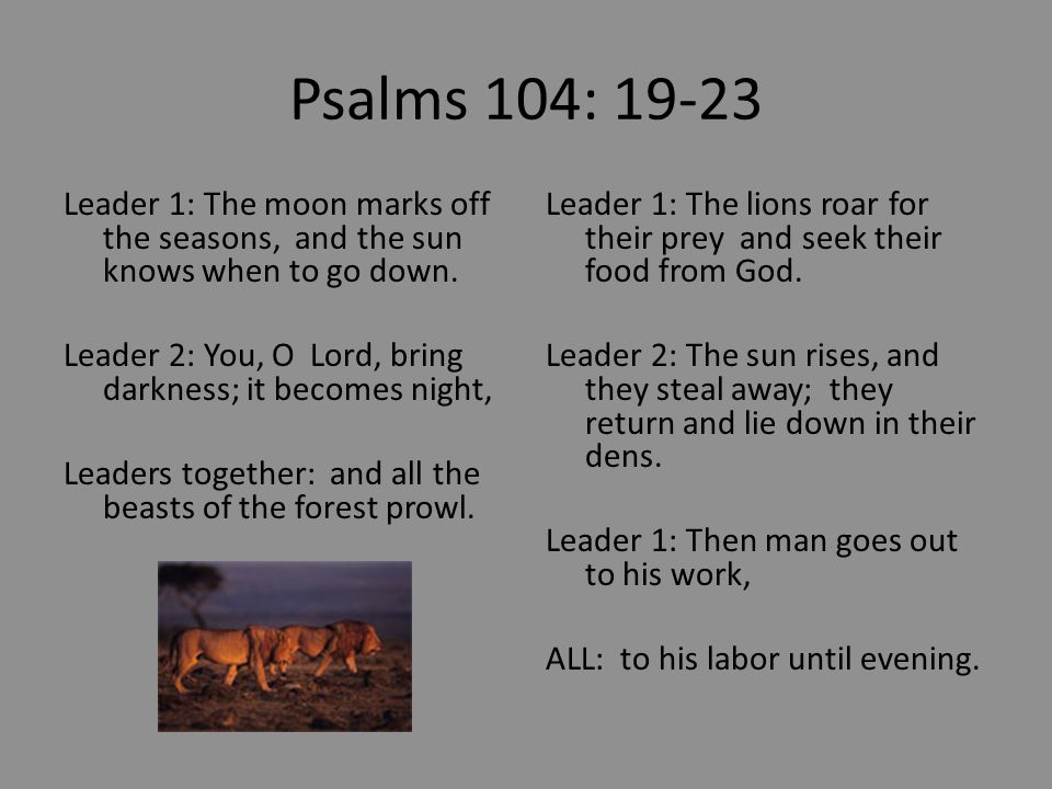 Psalms 104: Leader 1: The moon marks off the seasons, and the sun knows when to go down.