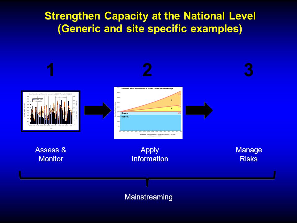 Assess & Monitor 1 Apply Information 2 Manage Risks 3 Strengthen Capacity at the National Level (Generic and site specific examples) Mainstreaming