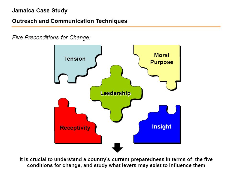 case study in leadership case study in leadership