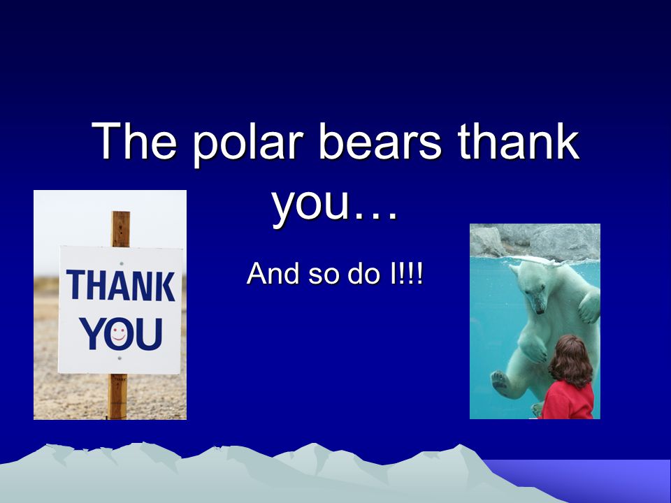 The polar bears thank you… And so do I!!!
