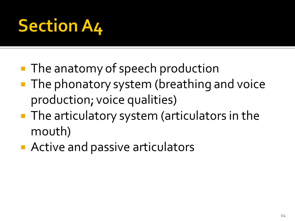 Breathing for Voice Production
