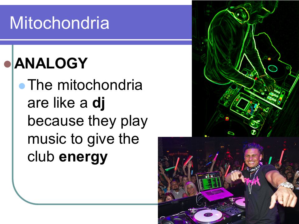 mitochondria analogy