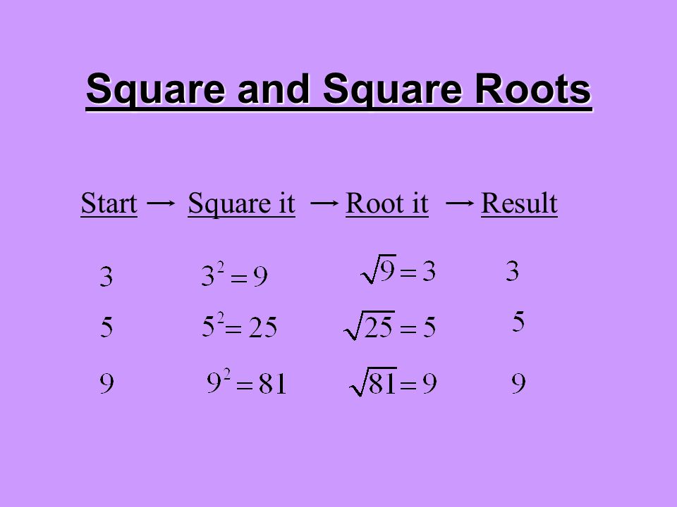 StartSquare itRoot itResult Square and Square Roots