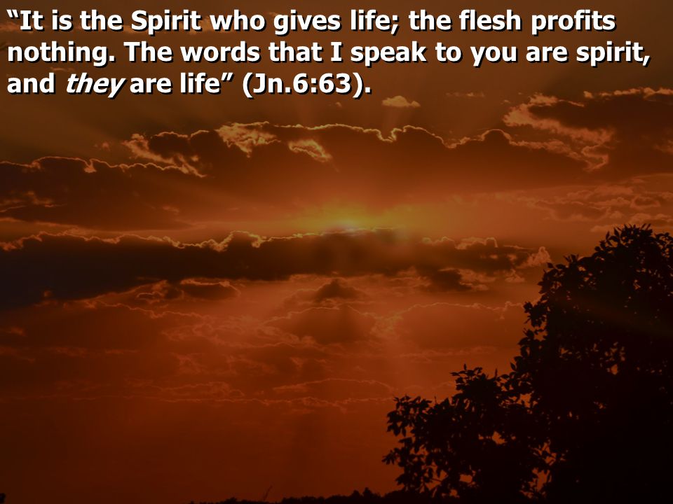 It is the Spirit who gives life; the flesh profits nothing.