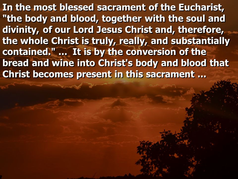 In the most blessed sacrament of the Eucharist, the body and blood, together with the soul and divinity, of our Lord Jesus Christ and, therefore, the whole Christ is truly, really, and substantially contained. ...
