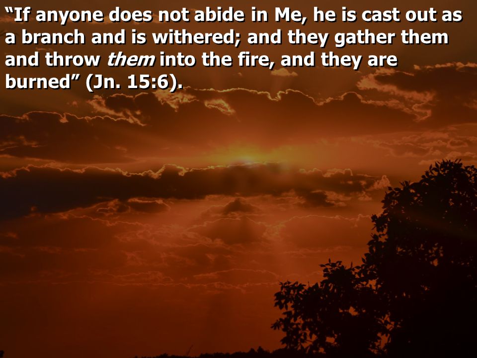 If anyone does not abide in Me, he is cast out as a branch and is withered; and they gather them and throw them into the fire, and they are burned (Jn.