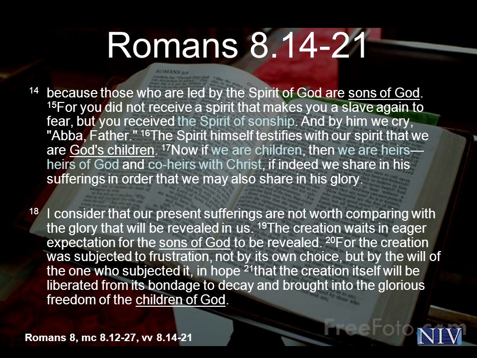 Romans because those who are led by the Spirit of God are sons of God.