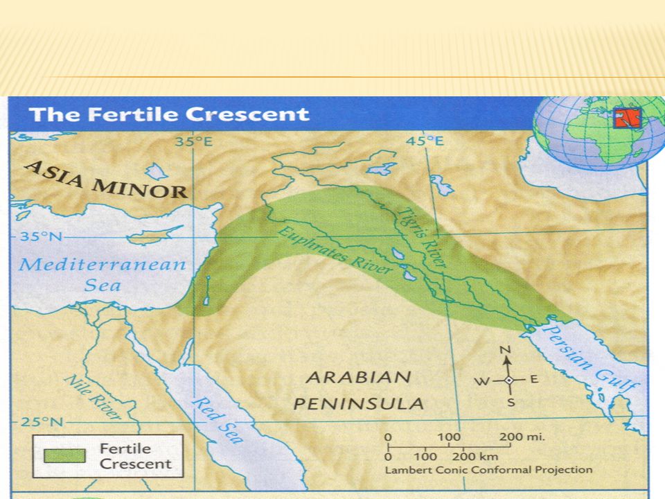 the fertile crescentthe land between the tigris and euphrates