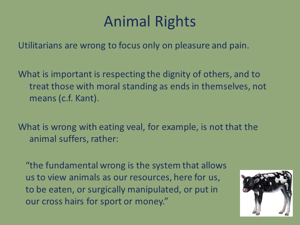 Tom regan animal rights human wrongs essay