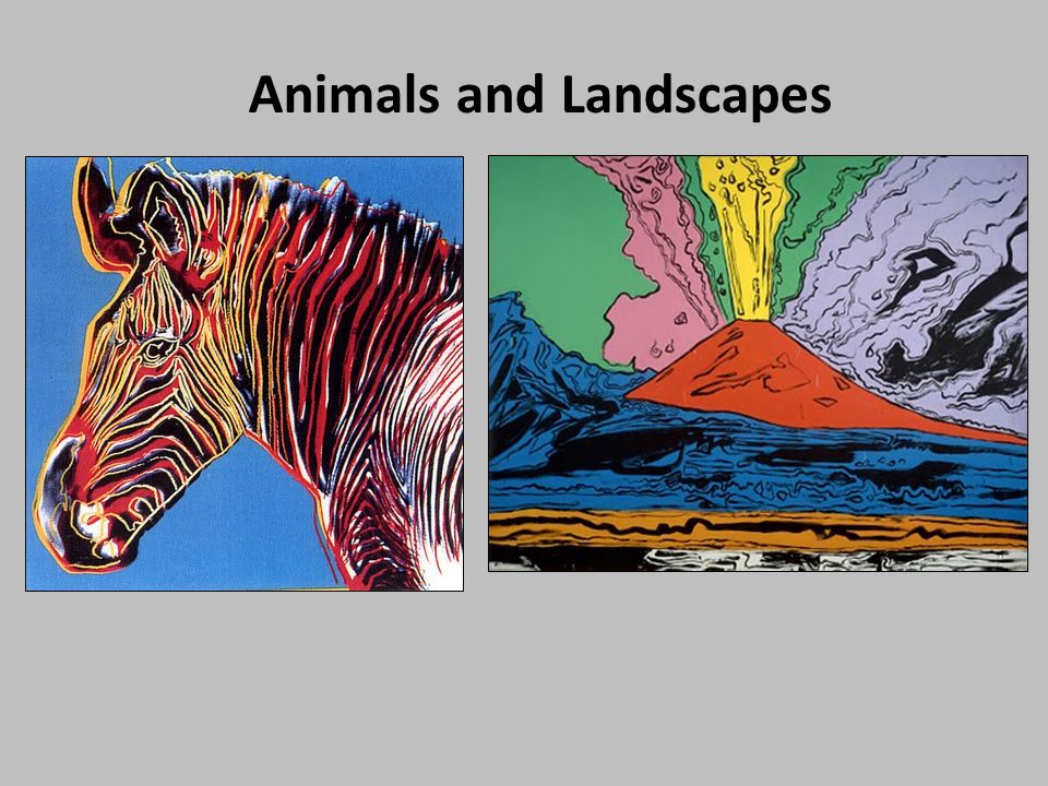 Animals and Landscapes