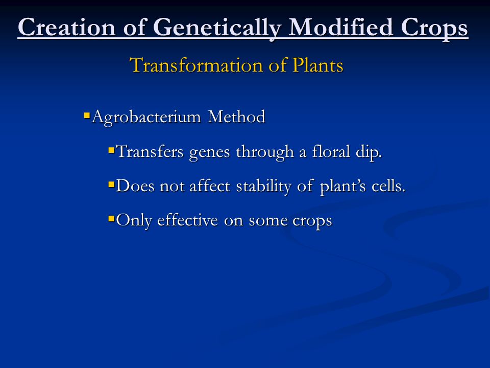 Creation of Genetically Modified Crops Transformation of Plants  Agrobacterium Method  Transfers genes through a floral dip.