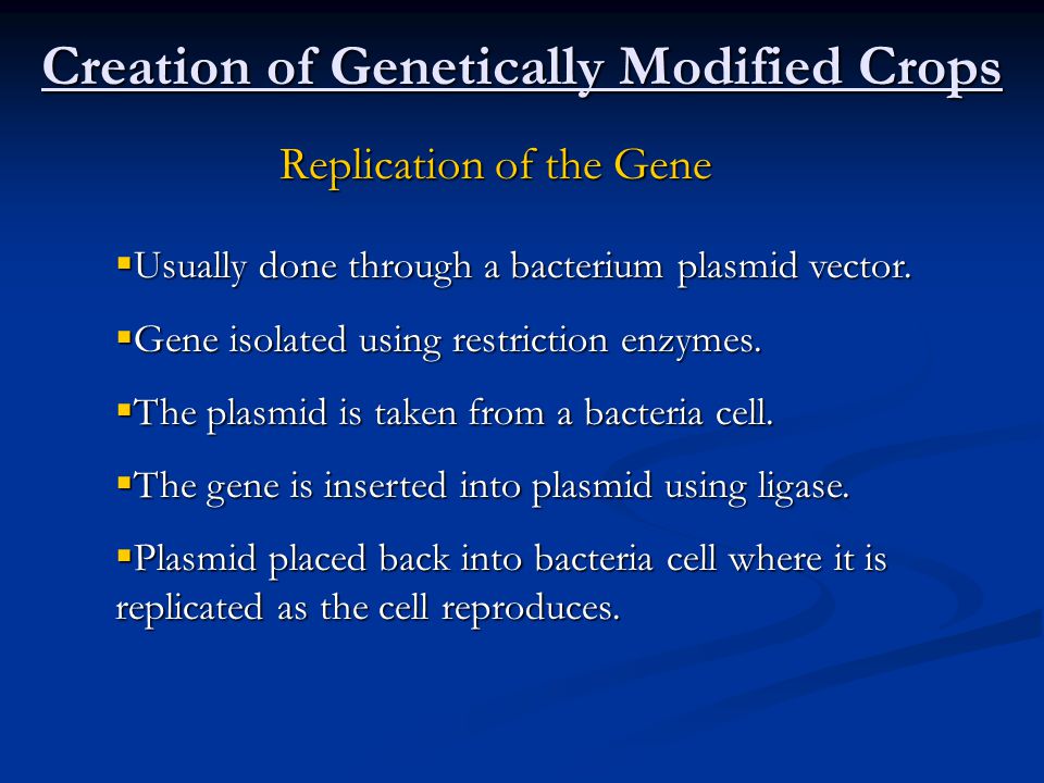 Creation of Genetically Modified Crops Replication of the Gene  Usually done through a bacterium plasmid vector.