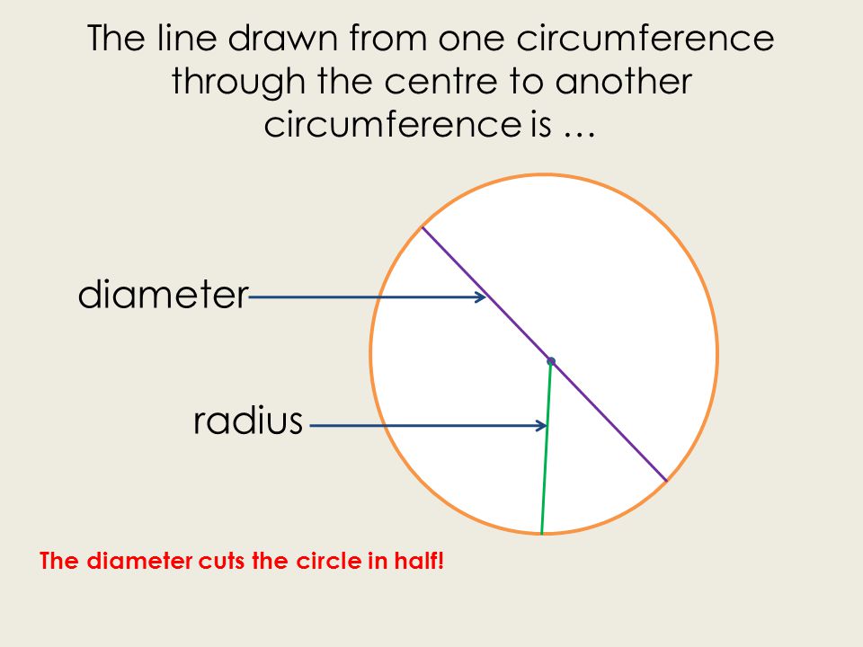 The line drawn from one circumference through the centre to another circumference is … radius diameter The diameter cuts the circle in half!