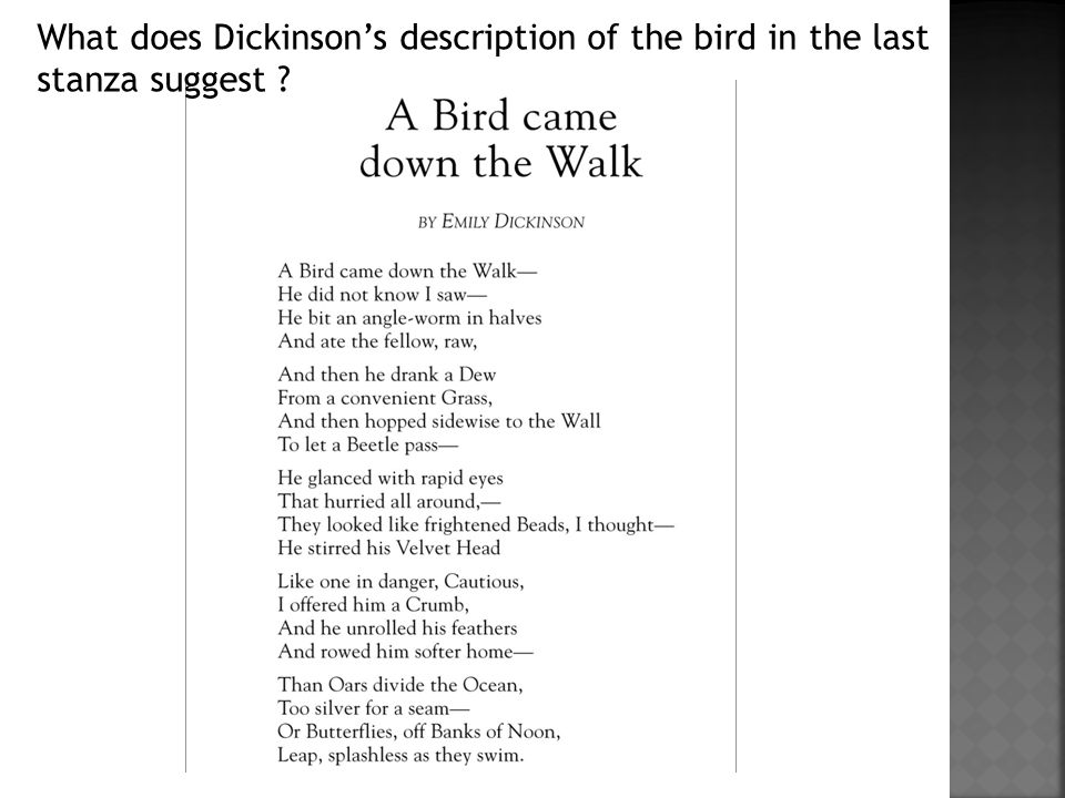 What does Dickinson’s description of the bird in the last stanza suggest