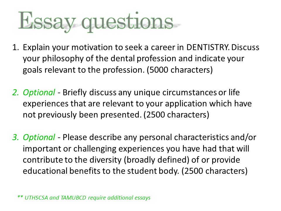 essays about essays essays about essays