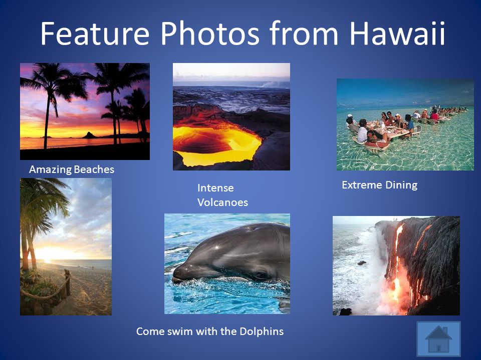 Feature Photos from Hawaii Amazing Beaches Intense Volcanoes Come swim with the Dolphins Extreme Dining