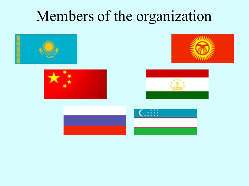 Members of the organization