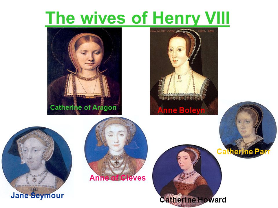 henry viii and his many wives essay henry viii and his many wives essay