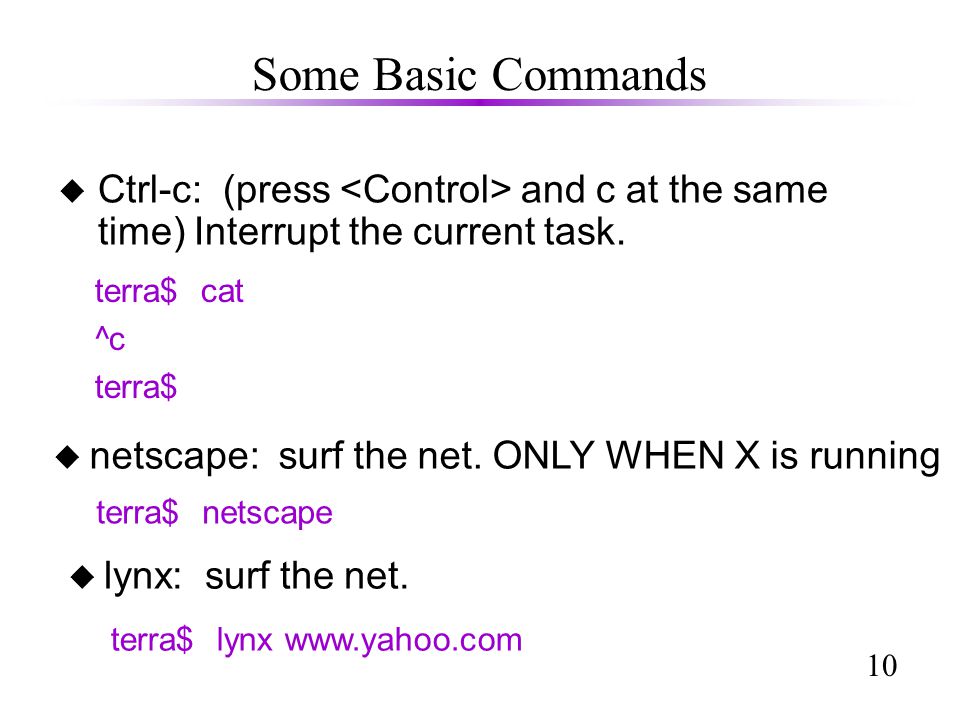10 Some Basic Commands u Ctrl-c: (press and c at the same time) Interrupt the current task.