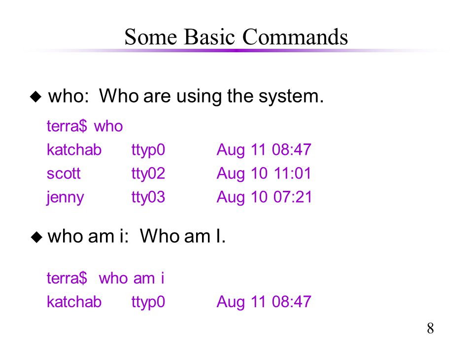 8 Some Basic Commands u who: Who are using the system.