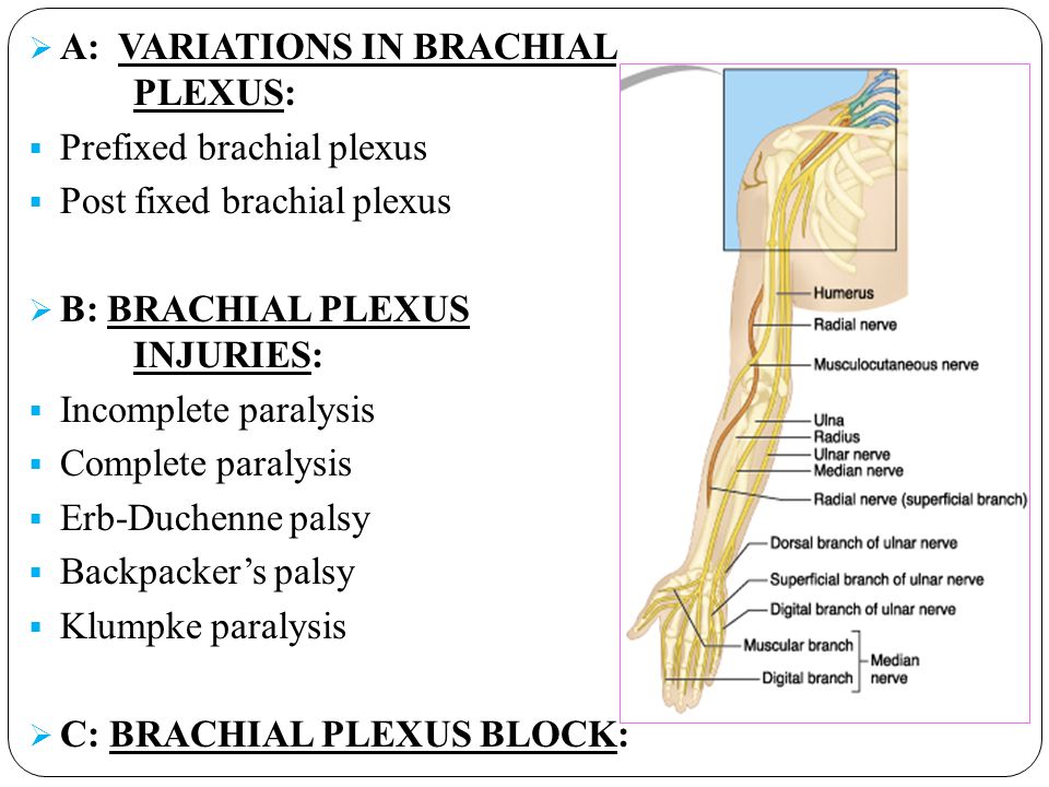 erb duchenne
