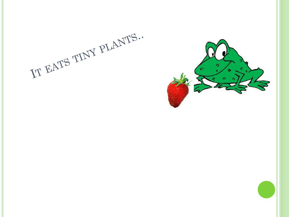 I T EATS TINY PLANTS..