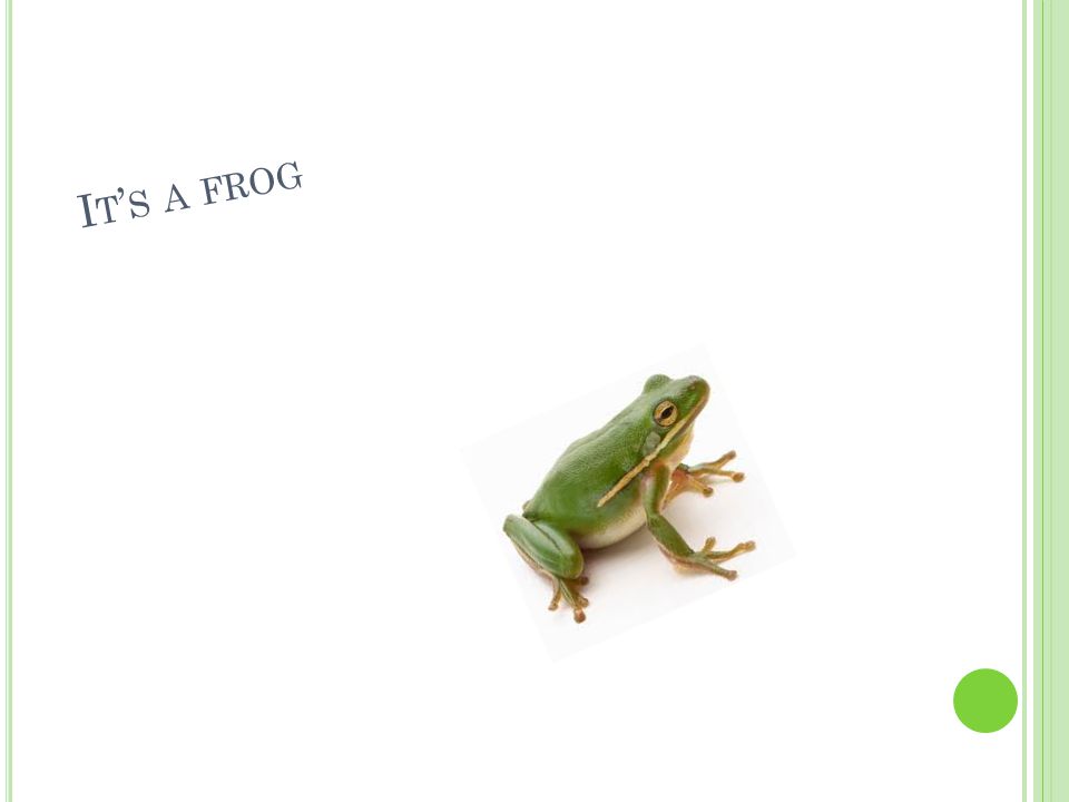 I T ’ S A FROG