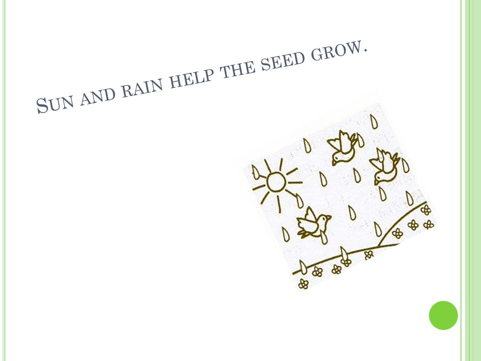 S UN AND RAIN HELP THE SEED GROW.