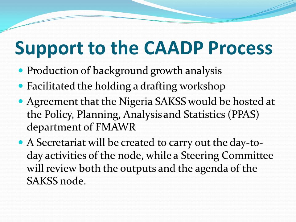 Support to the CAADP Process Production of background growth analysis Facilitated the holding a drafting workshop Agreement that the Nigeria SAKSS would be hosted at the Policy, Planning, Analysis and Statistics (PPAS) department of FMAWR A Secretariat will be created to carry out the day-to- day activities of the node, while a Steering Committee will review both the outputs and the agenda of the SAKSS node.